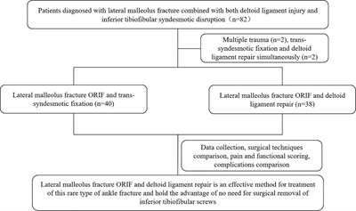 A retrospective study of <mark class="highlighted">deltoid</mark> ligament repair versus syndesmotic fixation in lateral malleolus fracture combined with both <mark class="highlighted">deltoid</mark> ligament injury and inferior tibiofibular syndesmotic disruption